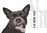 digitize your live pet images into a machine embroidery file